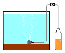 CO2X^[^[Zbg}